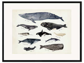 Framed art print Whales III