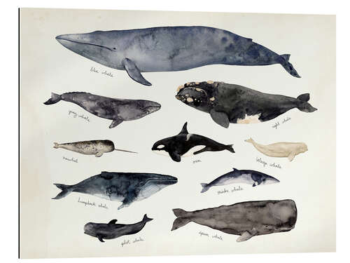 Galleritryck Whales III