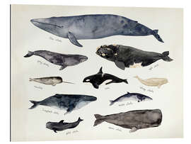 Gallery print Whales III