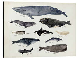 Magnettafel Wale III