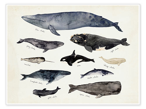 Juliste Whales III
