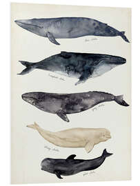 Foam board print Whale card II