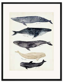 Gerahmter Kunstdruck Wal-Karte II