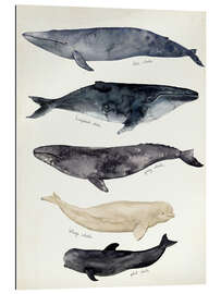 Gallery print Whale card II