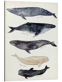 Magnettafel Wal-Karte II