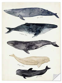 Wall sticker Whale card II