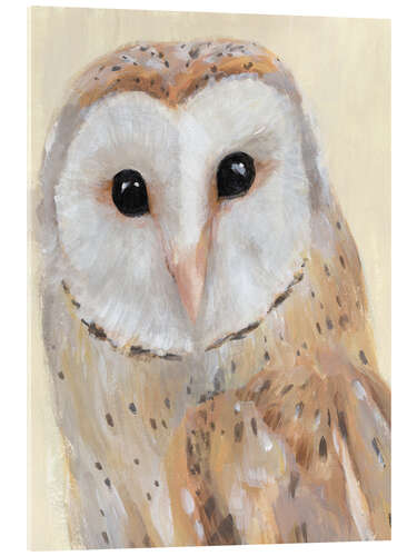 Tableau en verre acrylique Chouette effraie