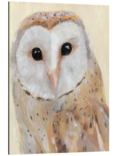 Aluminium print Barn owl