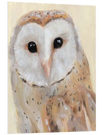 Foam board print Barn owl