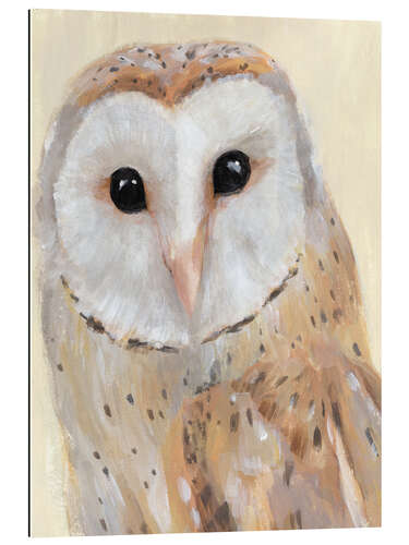 Gallery print Barn owl