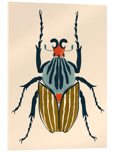 Acrylic print Beetle bug