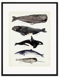 Gerahmter Kunstdruck Wale