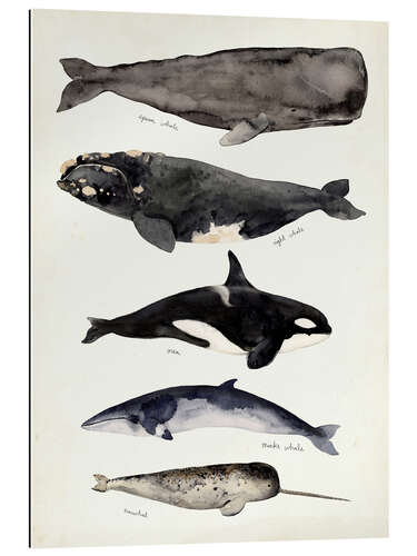 Galleritryk Whales