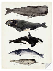 Muursticker Whales