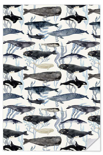 Selvklebende plakat All the whales