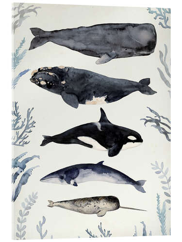 Akryylilasitaulu Whales II