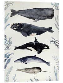 Akryylilasitaulu Whales II