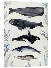 Tableau en PVC Whales II