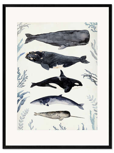 Ingelijste kunstdruk Whales II