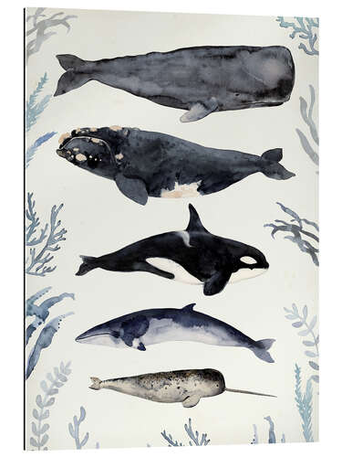 Gallery print Whales II