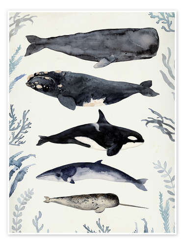 Plakat Whales II