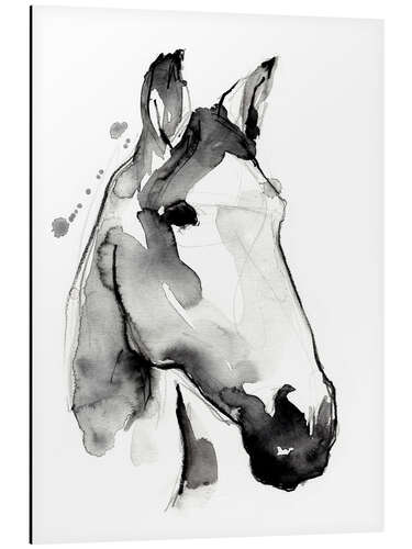 Aluminium print White stallion