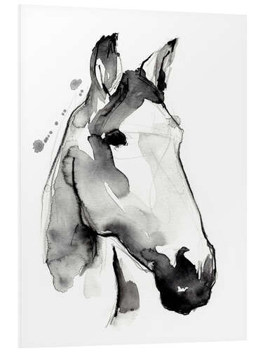 Foam board print White stallion