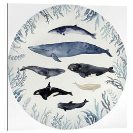 Gallery print Whale Chart V