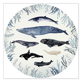 Obra artística  Gráfico de ballenas V - Victoria Barnes