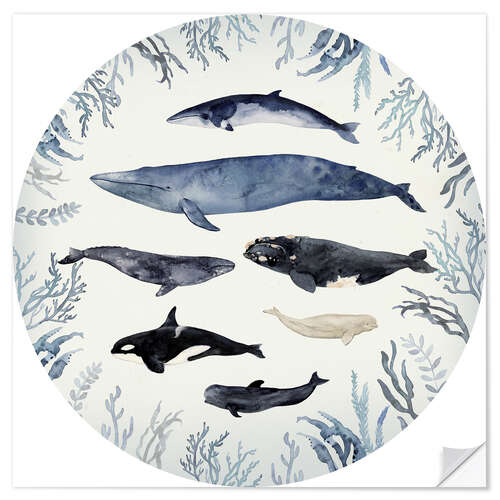 Wandsticker Whale Chart V