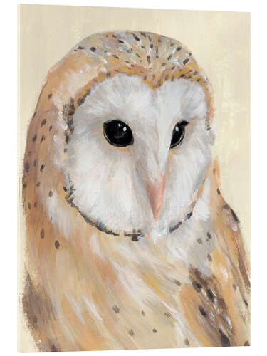 Acrylic print Barn Owl II