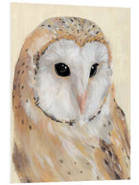 Foam board print Barn Owl II