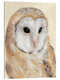 Gallery print Barn Owl II