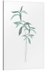 Aluminium print Plant branches