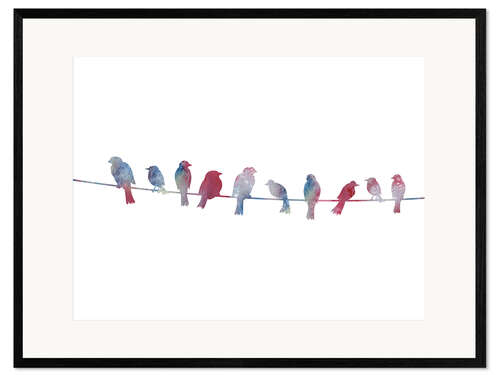 Framed art print Birds on wire
