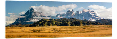 Acrylic print Patagonian Andes - Torres del Paine