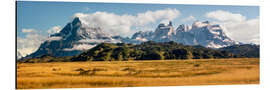 Tableau en aluminium Andes de Patagonie - Torres del Paine