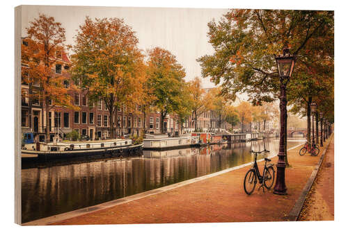 Puutaulu Autumn colors in Amsterdam, Holland