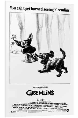 Tableau en PVC Gremlins - Gizmo on the beach