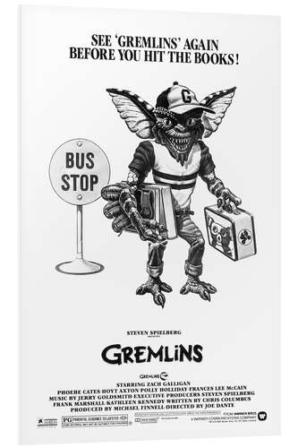 Cuadro de PVC Gremlins