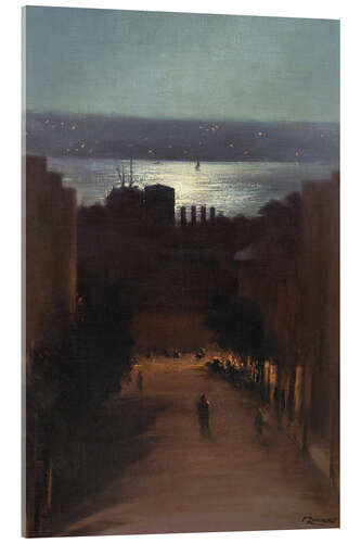 Acrylglas print View of Besiktas