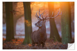 Wall sticker Majestic Stag in the Frosty Morning Light
