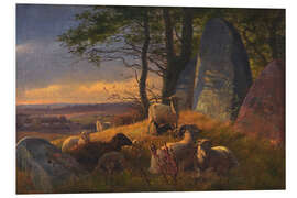 Foam board print Evening landscape with sheep on a huge hill