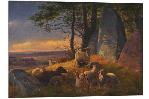 Galleriprint Evening landscape with sheep on a huge hill