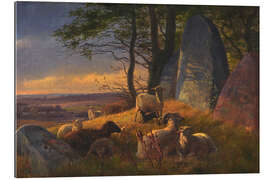 Galleriprint Evening landscape with sheep on a huge hill