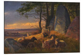 Magnettafel Abendlandschaft mit Schafen auf einem riesigen Hügel