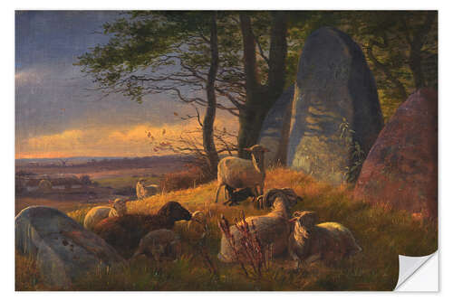 Selvklebende plakat Evening landscape with sheep on a huge hill