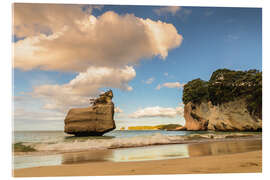 Acrylglasbild Felsen im Meer, Coromandel, Neuseeland