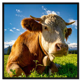 Gerahmter Kunstdruck Kuh mit Glocke auf der Alm