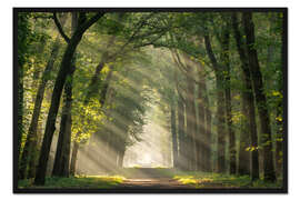 Gerahmter Kunstdruck Pracht